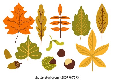 A collection of fallen autumn leaves of different shapes and colors. Autumn background, a poster with colorful leaves. Seasonal autumn elements for creating postcards, invitations. Cartoon flat style