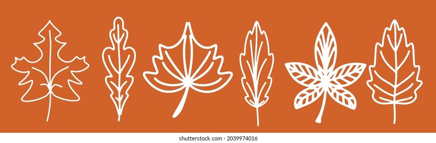 A collection of fallen autumn leaves of different shapes. Autumn background, a poster with different leaves. Seasonal autumn elements for creating postcards, invitations, posters. Cartoon flat style