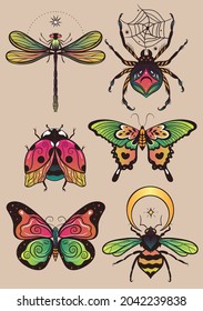 Collection of fantasy colorful insects for design. Vector graphics.