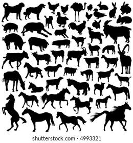 collection of farm animal vector