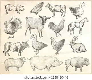 Collection of farm animals on a paper background. Hand drawn vector isolated illustrations.
