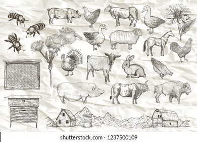 Collection of farm animals on a paper background. Hand drawn vector isolated illustrations.