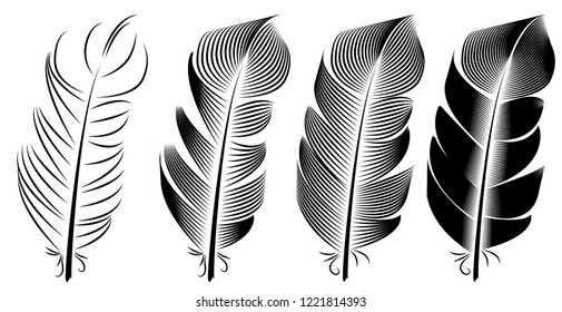 Collection of feather illustration, drawing, engraving, ink, line art,