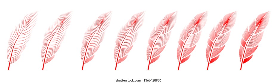 Collection of feather illustration, drawing, engraving, ink line art