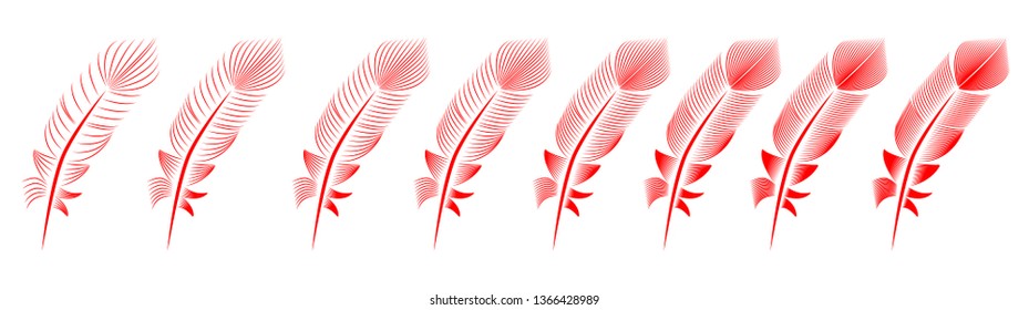 Collection of feather illustration, drawing, engraving, ink line art