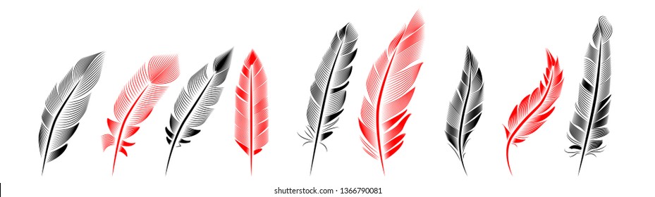 Collection of feather illustration, drawing, engraving, ink line art