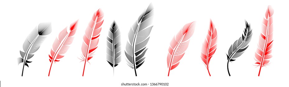 Collection of feather illustration, drawing, engraving, ink line art