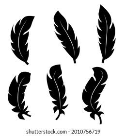 Collection of feather illustration, drawing, engraving, ink line art.