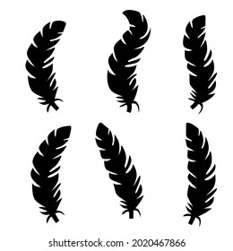 Collection of feather illustration, drawing, engraving, ink line art.