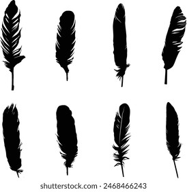 A collection of feather silhouettes for artwork compositions