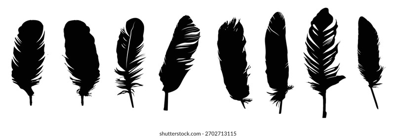 a collection of feather silhouettes for artwork compositions 