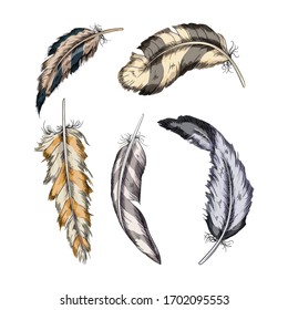 Collection of the feathers .Handmade work.Vector illustration