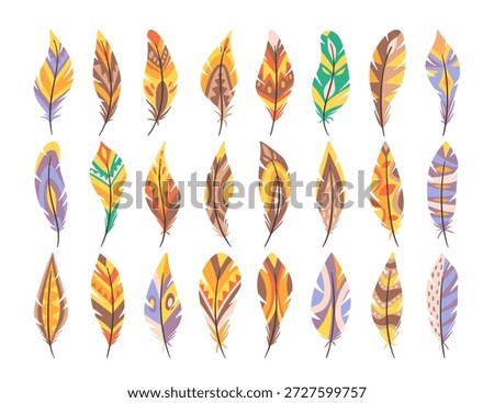 Collection of feathers and plumes with tribal patterns, native aesthetic ornaments isolated on white