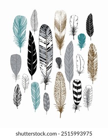 A collection of feathers in various shapes and patterns, featuring hues of teal, gray, and gold against a white background.