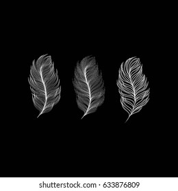 Collection of feathers vector illustration