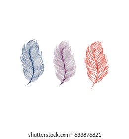 Collection of feathers vector illustration