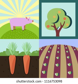 collection of few flat style illustrations on summer rural theme, farm animals, village, fields, quiet and nice lifestyle