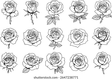 Collection of Fifteen Elegant Rose Outlines for Creative Projects Black and White Floral Illustrations Featuring Delicate Line Art and Thorns