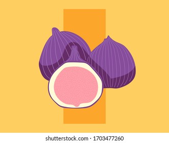 Collection of figs. Fruit, leaf and piece of fig. Vector hand drawn illustration set in modern trendy flat style for web, print posters and wallpapers. Collection of detailed drawings of fig isolated