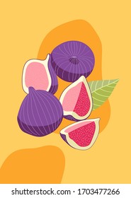 Colección de higos. Fruta, hoja y pieza de higo. Ilustración vectorial hecha a mano, ambientada en un moderno estilo plano para la web, afiches impresos y tapicerías. Recogida de planos detallados de la higuera aislada
