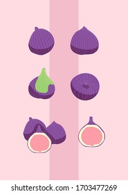 Colección de higos. Fruta, hoja y pieza de higo. Ilustración vectorial hecha a mano, ambientada en un moderno estilo plano para la web, afiches impresos y tapicerías. Recogida de planos detallados de la higuera aislada