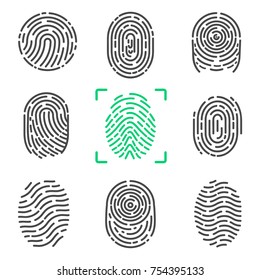 Collection of fingerprints, colorless images of prints of human and colorful one in frame, items on vector illustration isolated on white background