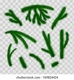 Collection of Fir Branches. Set of Realistic Detailed Christmas tree branches. Symbol of Christmas and New Year isolated on white background for your design. Vector illustration