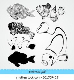 Collection of fish: mark, spot, line, pattern, detailed. Vector illustration.