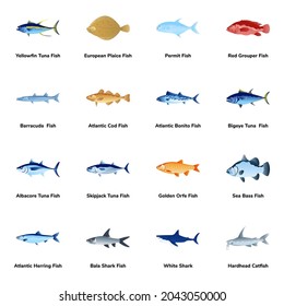 Collection of Fish in Modern Flat Icons