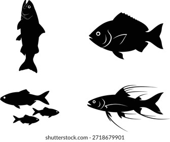 Collection of fish silhouettes and illustrations