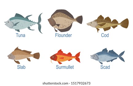 166 Tuna slab Images, Stock Photos & Vectors | Shutterstock