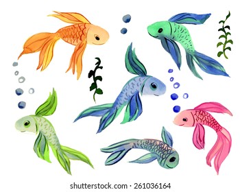 Collection Fish Watercolor Isolated on a White Background for your Design