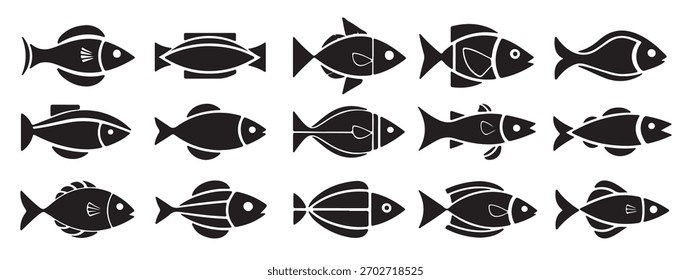 collection fish with white background