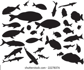 collection of fishes silhouettes - vector