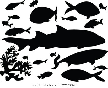 collection of fishes - vector