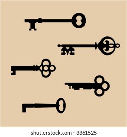 Collection Five Antique Skeleton Keys Stock Vector (Royalty Free ...