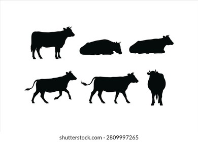 A collection of five black cow silhouettes showcasing different standing and resting postures isolated on transparent background