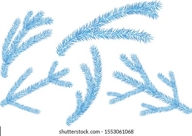 Collection of five blue vector branches