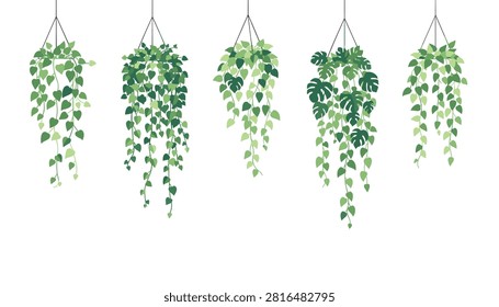 Collection of five decorative hanging indoor plants in pots displayed in a line for modern home decor.