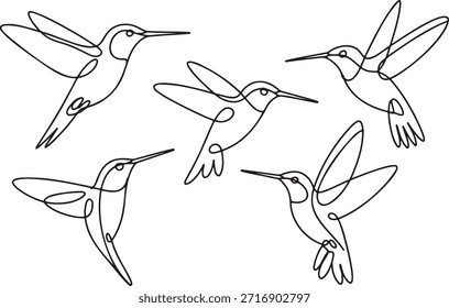 Sammlung von fünf feinen einzeiligen Kunst-Renderings, die Kolibris schwebend und fliegend zeigen. Einfache Vektorgrafik, die Natur und Vogelschönheit mit klaren Umrissen zeigt.