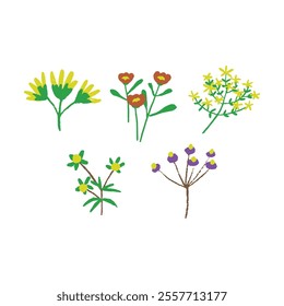 A collection of five different floral illustrations, unique colours and shapes. Yellow, red, and purple flowers with green stems and leaves, playful and simple design.