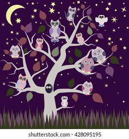 Collection of five different owls, sitting on the tree brunches