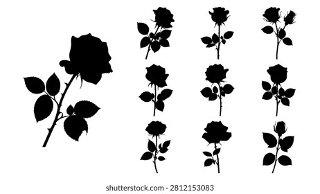 A collection of five distinct rose silhouettes showcasing various shapes and sizes in black against a white background.