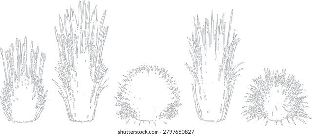 A collection of five distinct sea urchin illustrations, featuring various shapes and textures, rendered in a clean, minimalist line art style.