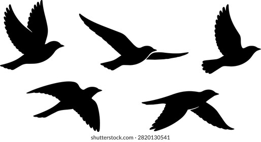Collection of five flying bird silhouettes vector illustration depicting various avian flight poses perfect for nature and sky background.