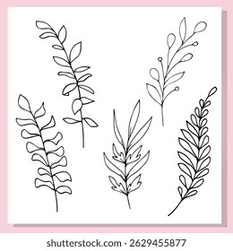 Collection of five hand drawn botanical leaves in black and white doodle style. Perfect for minimalist design, nature themes, botanical prints, eco packaging, and wedding invitations.