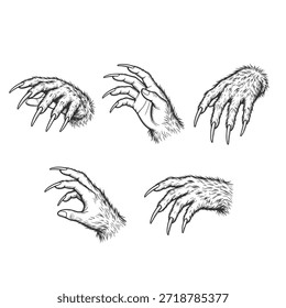 Kollektion von fünf handgezeichneten Monster-Klauen und Furry Hands - Vektorlinienkunst.