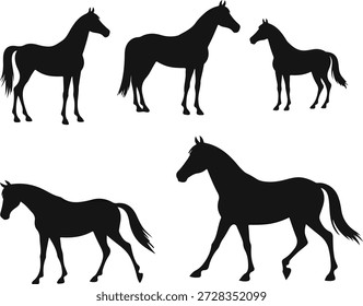 Colección de cinco siluetas de caballo en varias posturas y posturas