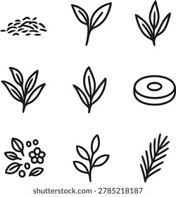 Collection of five leaf clover icons in green color with vectors