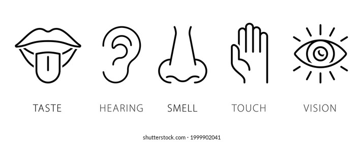 Collection of the Five Senses icons in thin line style. Taste, Hearing, Smell, Touch, Sight vector illustrations set